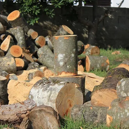 Appartamento Dinjiska 9386a Povljana