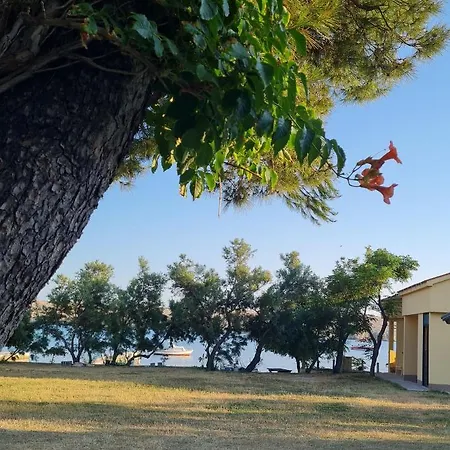 Dinjiska 9386a * Povljana