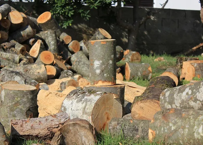 Apartamento Dinjiska 9386a Povljana