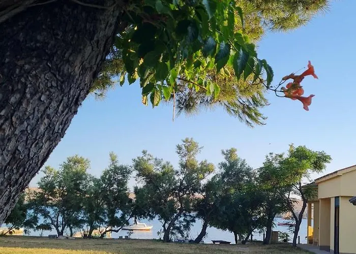 Dinjiska 9386a * Povljana